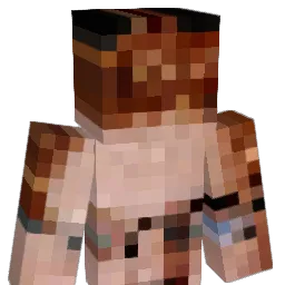 Dungeon_Knight2 Minecraft avatar bust