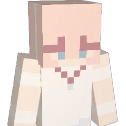 Dunj4 Minecraft avatar bust