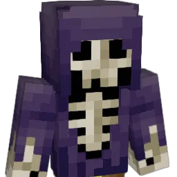 Dunkler_Ritter Minecraft avatar bust