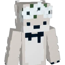 Dunnq Minecraft avatar bust
