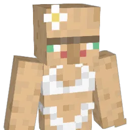 Duquesaa's Minecraft skin