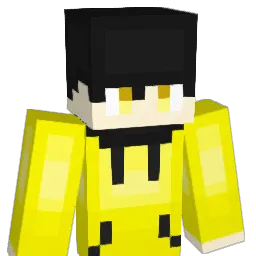 Dust64_ Minecraft avatar bust