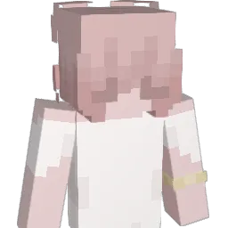 DustandRib Minecraft avatar bust