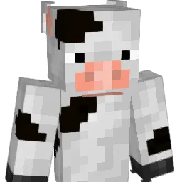 DustyCloud777 Minecraft avatar bust