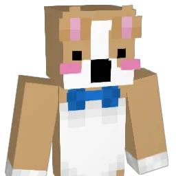 DutchBubs's Minecraft skin