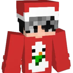 DutchHollandNL Minecraft avatar bust
