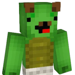 DutchTurtle010 Minecraft avatar bust