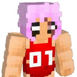 Duzno Minecraft avatar bust