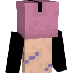 Dviize Minecraft avatar bust