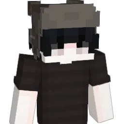 Dvmax's Minecraft skin
