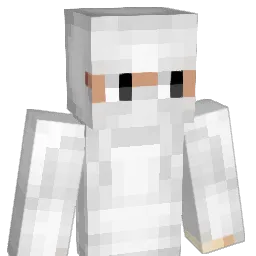 Dxsswkkkkk Minecraft avatar bust