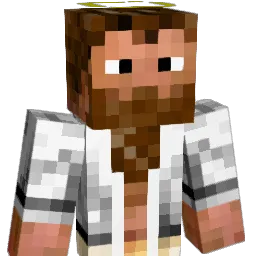 DyHouli Minecraft avatar bust