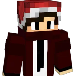 DyZerr_ Minecraft avatar bust