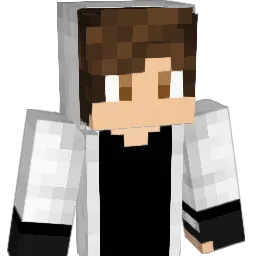Dyn4sT Minecraft avatar bust