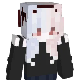 DynamicProgramm's Minecraft skin