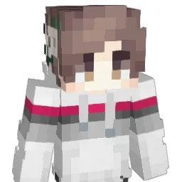 DysaarmLS_ Minecraft avatar bust