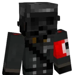 DyslexicWombat Minecraft avatar bust