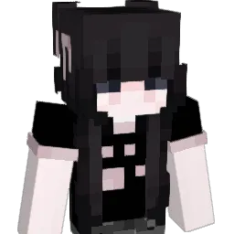 Dzinksi Minecraft avatar bust