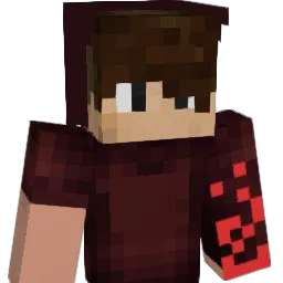 Dzoki_YT Minecraft avatar bust