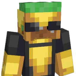E117G Minecraft avatar bust