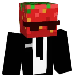 E1eli's Minecraft skin