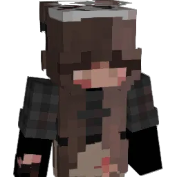 E1iz_ Minecraft avatar bust