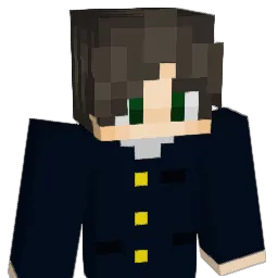 EADTO Minecraft avatar bust