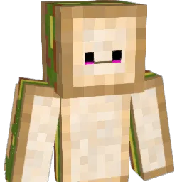 EAMRBOY Minecraft avatar bust