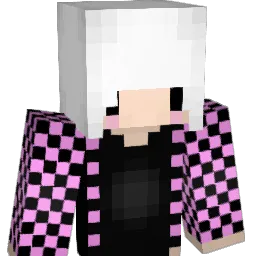 ECHO_460 Minecraft avatar bust