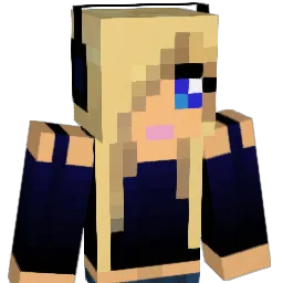 EGP1234 Minecraft avatar bust