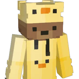 EIMIS15 Minecraft avatar bust