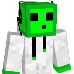 EJ70700 Minecraft avatar bust