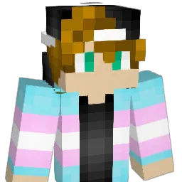 EJDJ1999 Minecraft avatar bust