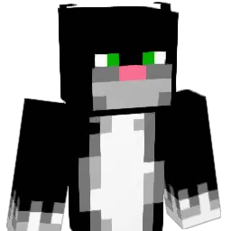ELGATOPELUDIN Minecraft avatar bust