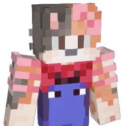 ELGatocoptero