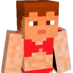 ELLA143 Minecraft avatar bust