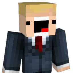 EM_LlamaPower_XD Minecraft avatar bust