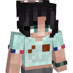 EN0RME_TORTUE Minecraft avatar bust