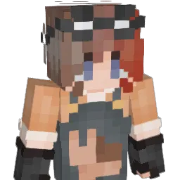 ENVIOM_ Minecraft avatar bust
