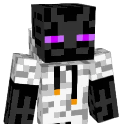 ENZ117 Minecraft avatar bust