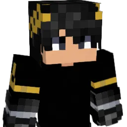 ER1BER