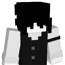 ERROR_coin Minecraft avatar bust