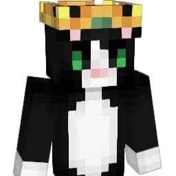 ERR_2839 Minecraft avatar bust