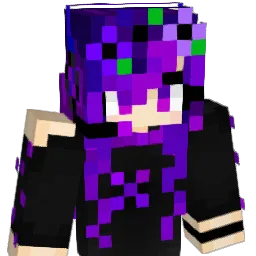 ERR_421 Minecraft avatar bust