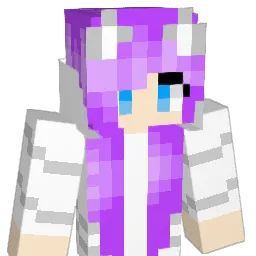 ER_RN_13 Minecraft avatar bust