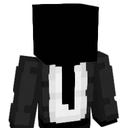 ESTxd69 Minecraft avatar bust