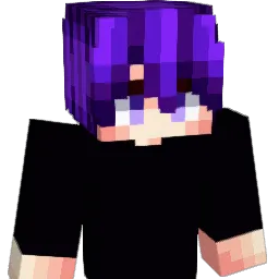 EVERYTHINGF0RY0U Minecraft avatar bust