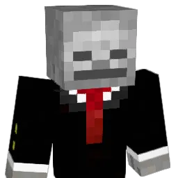 E_33 Minecraft avatar bust
