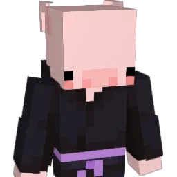 E_Simes Minecraft avatar bust