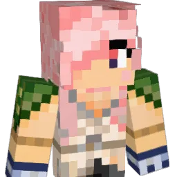 Echo2249 Minecraft avatar bust